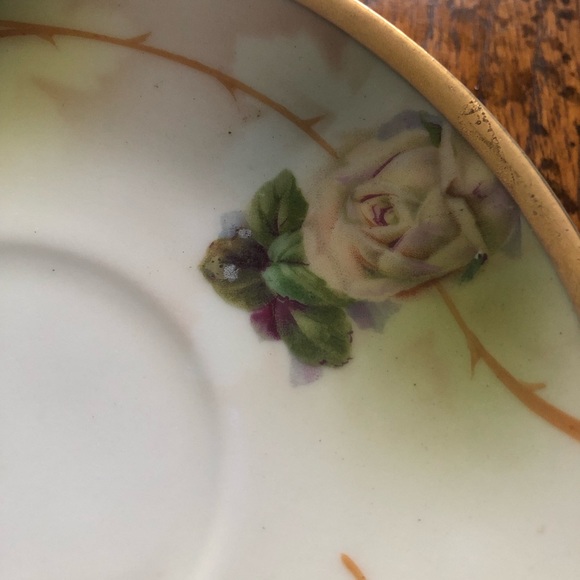 Royal Rudolstadt Prussian rose pattern gold trim tea cup and saucer Victorian - Picture 12 of 15